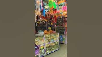 Rajrappa Mandir 🙏 #rajrappa #viral #trending #shorts #jharkhand #tourism #mandir #explore