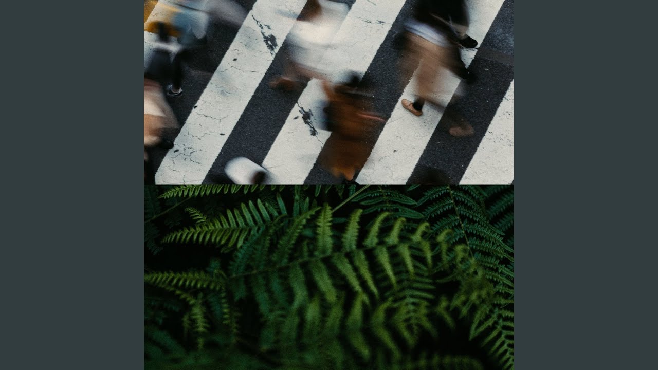 Obejrzyj Bashful w YouTube Obejrzyj Bashful w YouTube