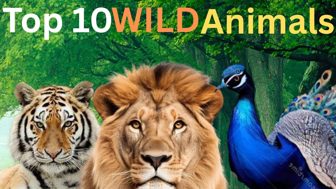 🦁 Top 10 Wild Animals Found ONLY in India! 🐅🦌🦚 | Rare & Unique Creatures of India! 🌿🐘