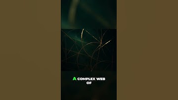 Flower of Life: Unlocking the Sacred Blueprint of Reality!