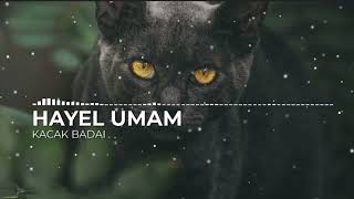 Download Lagu KACAK BADAI - HAYEL UMAM #freemusic #nocopyright #ncs MP3
