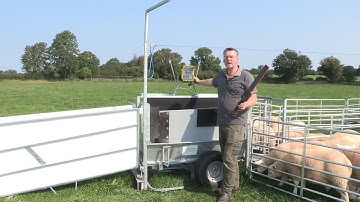 Shepherdsmate Sheep Handling Unit 2021