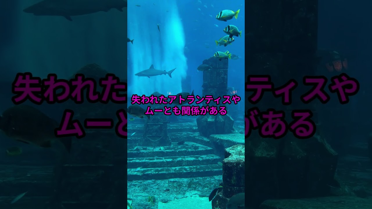日本の文化風習⑯