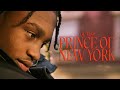 Capture de la vidéo Lil Tjay - Prince Of New York (Documentary)