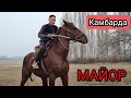 майор