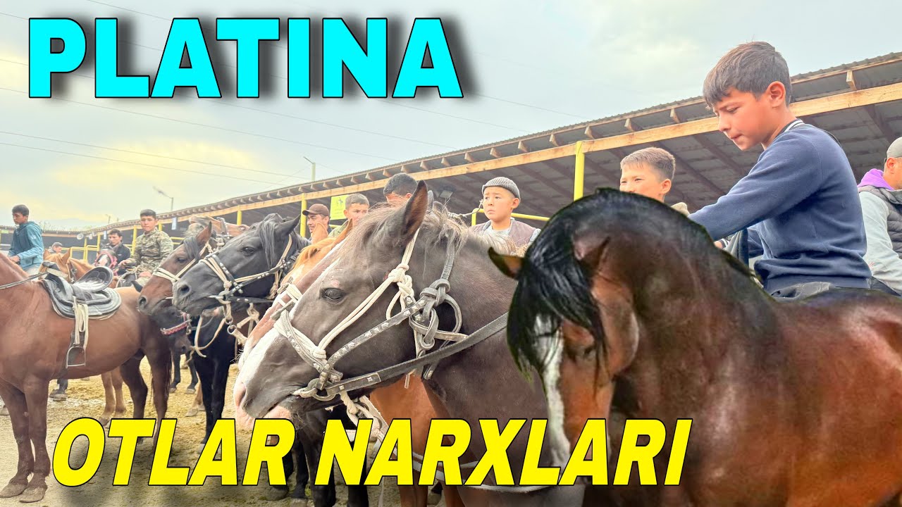 OTLAR ZO’RLARIDAN KO’RING 👍👍👍. Ppatina mol bozor