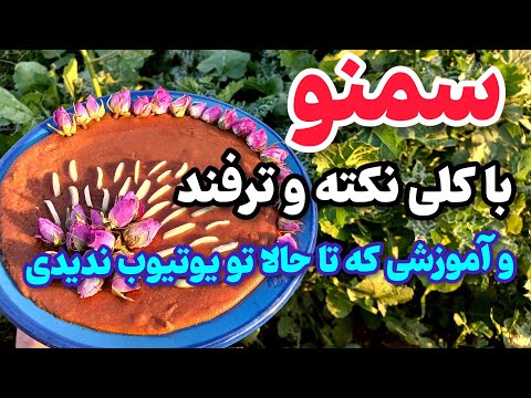 آموزش پخت سمنو با کلی نکته و ترفند و بهترین رسپی برای بالا بردن ارزش غذایی این دسر خوشمزه
