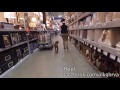 Puppy Kilo amazing transformation! Dog training Hampton Roads Virginia. Crossfit Stimulus Puppy Kilo amazing transformation! Dog training Hampton Roads Virginia. Crossfit Stimulus