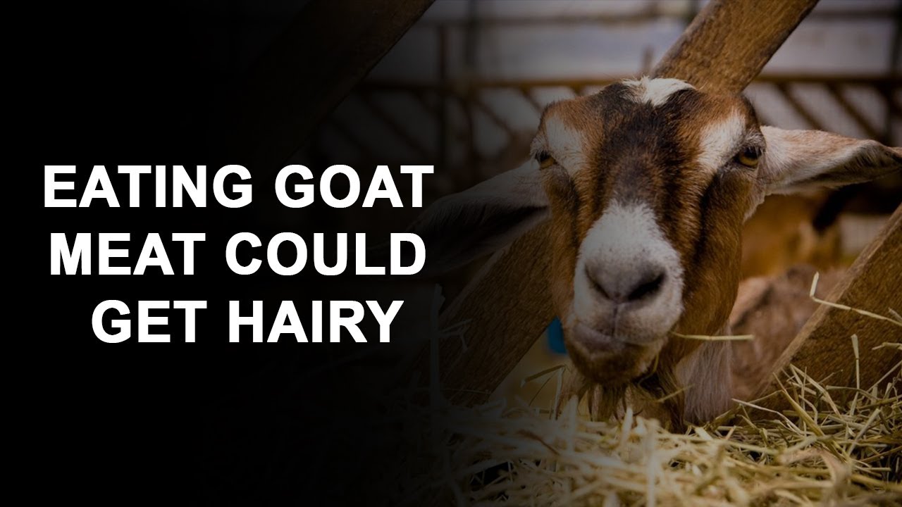 Growing up in Africa | Eating Goat Meat Could Get Hairy