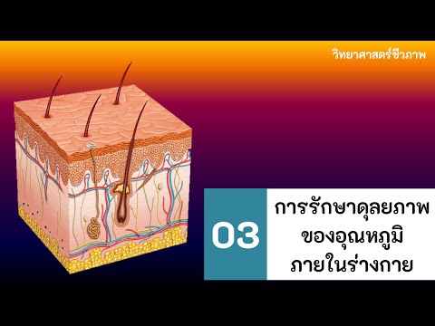 การรักษาดุลยภาพของอุณหภูมิภายในร่างกาย (วิทยาศาสตร์ชีวภาพ)