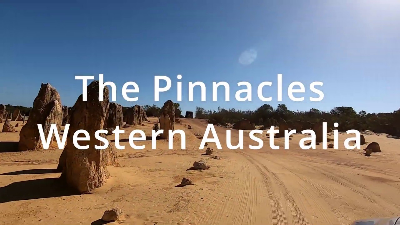 The Wonders of Pinnacles & Desert Discovery l Day Tour l Western Australia l A Muslim Traveller