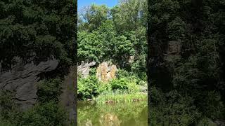 Secret Waterfall in Harlem?! 😮 | Morningside Park Run #virtualrun #funrunnyc #asmrrunning