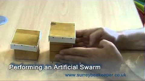 How to perform an artificial swarm