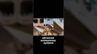 China's Advantage  Who Will Win the Robotic