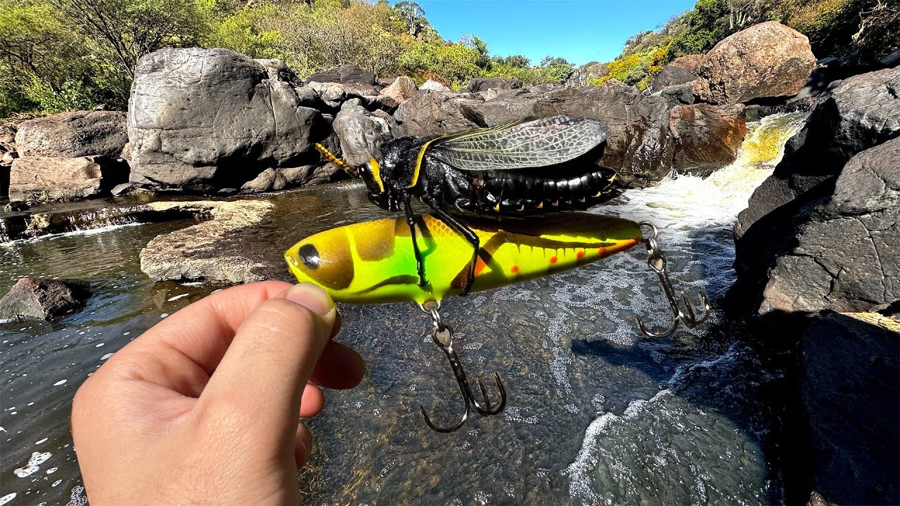  El Señuelo MÁS EFECTIVO (Chapulin) Para Pescar en el Río! 