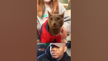 #shorts #tiktok #funny #funnymoments #duet #dueto #funnyvideos #react #reactionvids