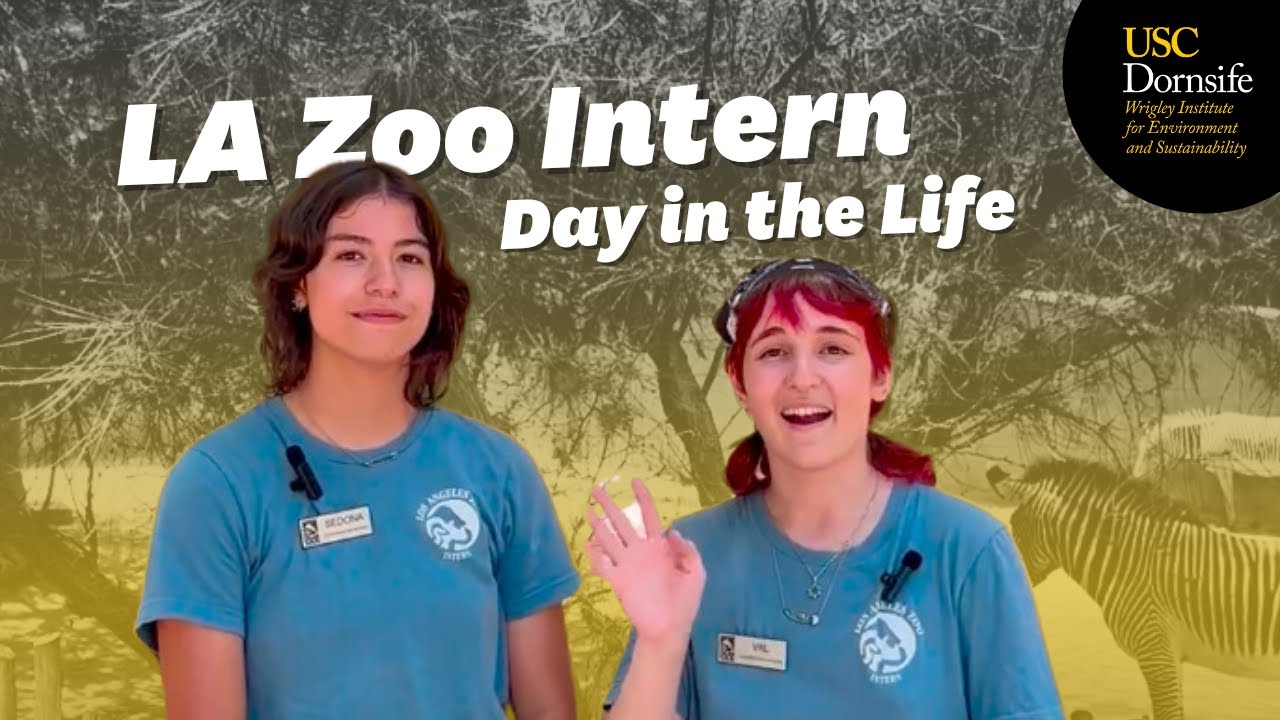 Day-in-the-LIfe of a Los Angeles Zoo Conservancy Intern