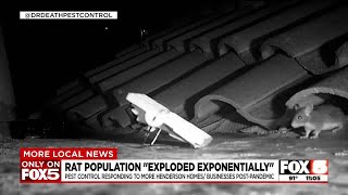 Rat population in Henderson ‘exploded exponentially’ post-pandemic