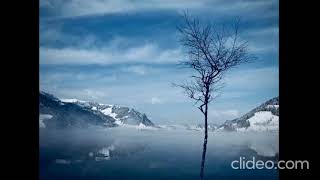 When the Ash Settles || Relaxing Music