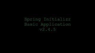 Spring Initializer: Basic v2.4.5 Boot Application