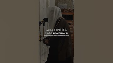 (وما علمناه الشعر وما ينبغي له) #الوليد_الشمسان | سورة يس #اكسبلور #قران