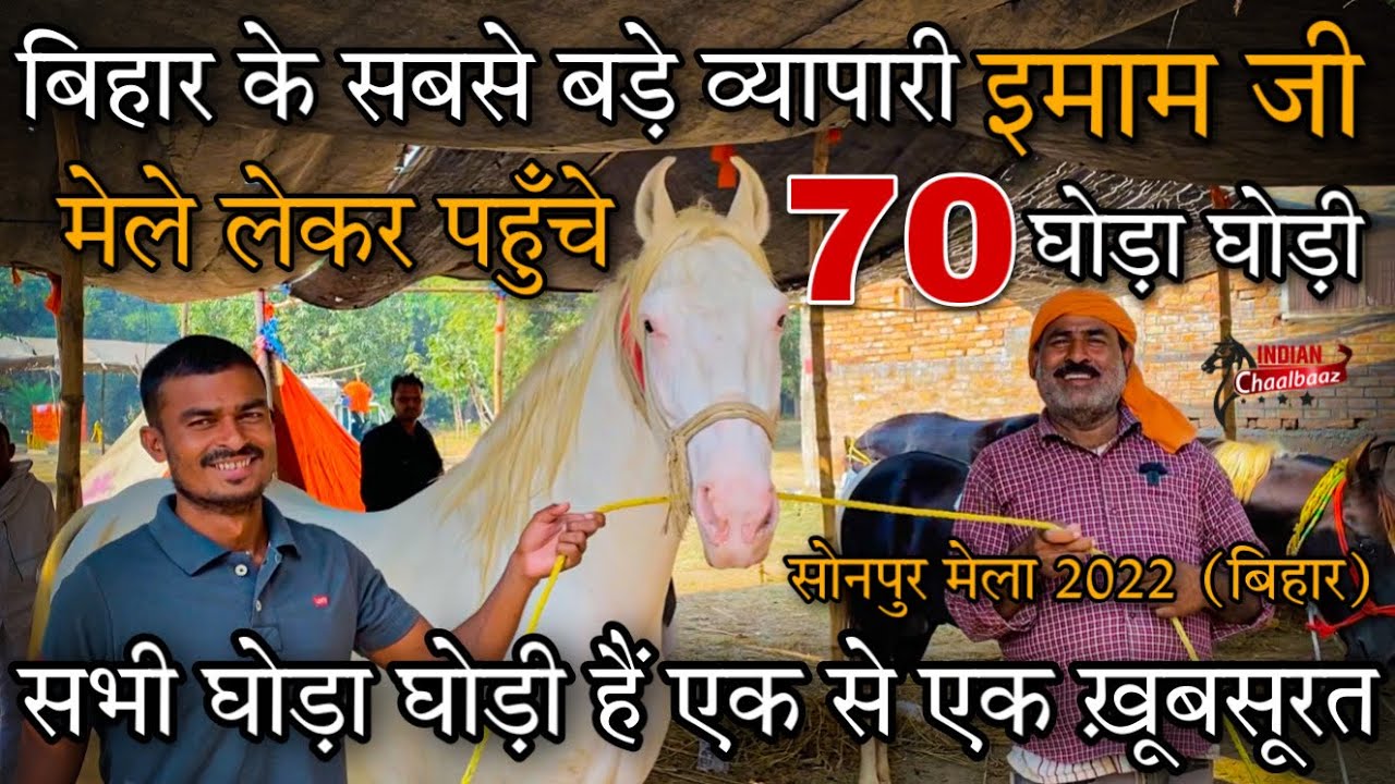 बिहार के बड़े व्यापारी इमाम जी ने फिर किया जलवा मेले लेकर पहुँचे 70 घोड़ा घोड़ी Sonepur Mela 2022
