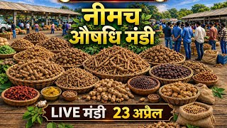 नीमच औषधि मंडी आज का ताज़ा भाव | दुर्लभ जड़ी-बूटियों की LIVE मंडी । Neemuch Mandi। Sanjay Dhakad