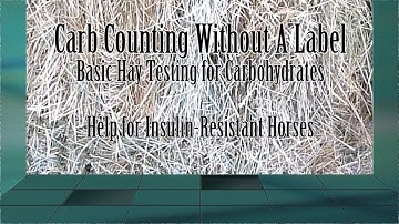 Insulin Resistant Horse?  How to Sample Your Hay for Testing