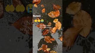 is wazife ko na chore kbhi. 🤲#shortvideo#utubevideo#viralvideos #
