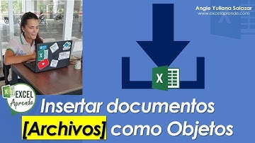 Insertar documentos [Archivos] como Objetos | Excel Aprende