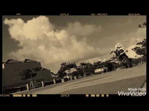 The Venus ♪恋のhighway rabbit ♪