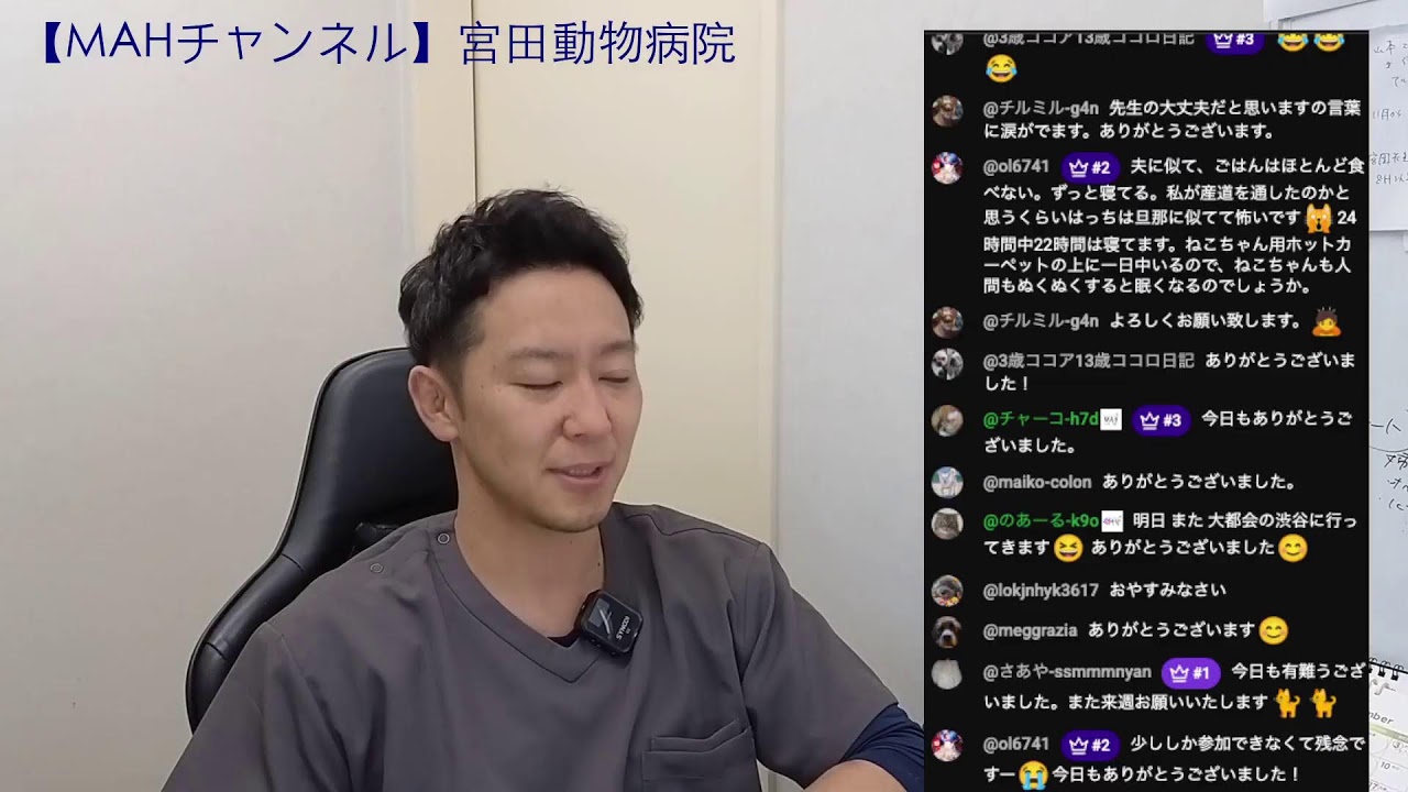 宮田動物病院 ライブ配信【MAHチャンネル】 - YouTube