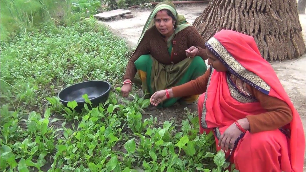 आज फिर मेरे घर मेरी छोटी बहन आई और मेरी खुशी का ठिकाना न रहा। usha village food/usha ek aasha.