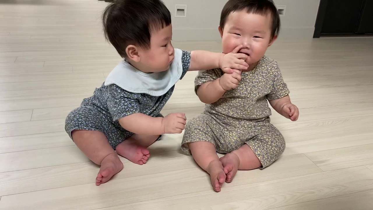 다투는 쌍둥이