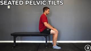 Seated Pelvic Tilts