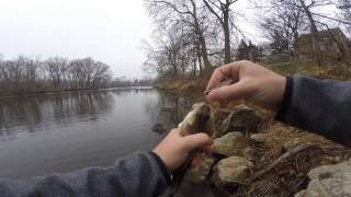 Bank Fishing for River Walleye