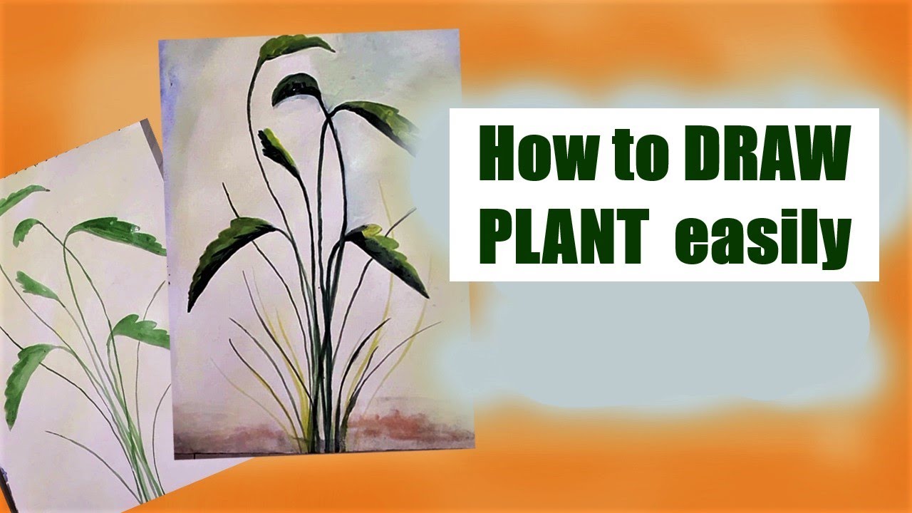 How to draw PLANT easily 🌱☘🌿 - YouTube