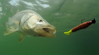 BEST LURES FOR SNOOK AND TARPON