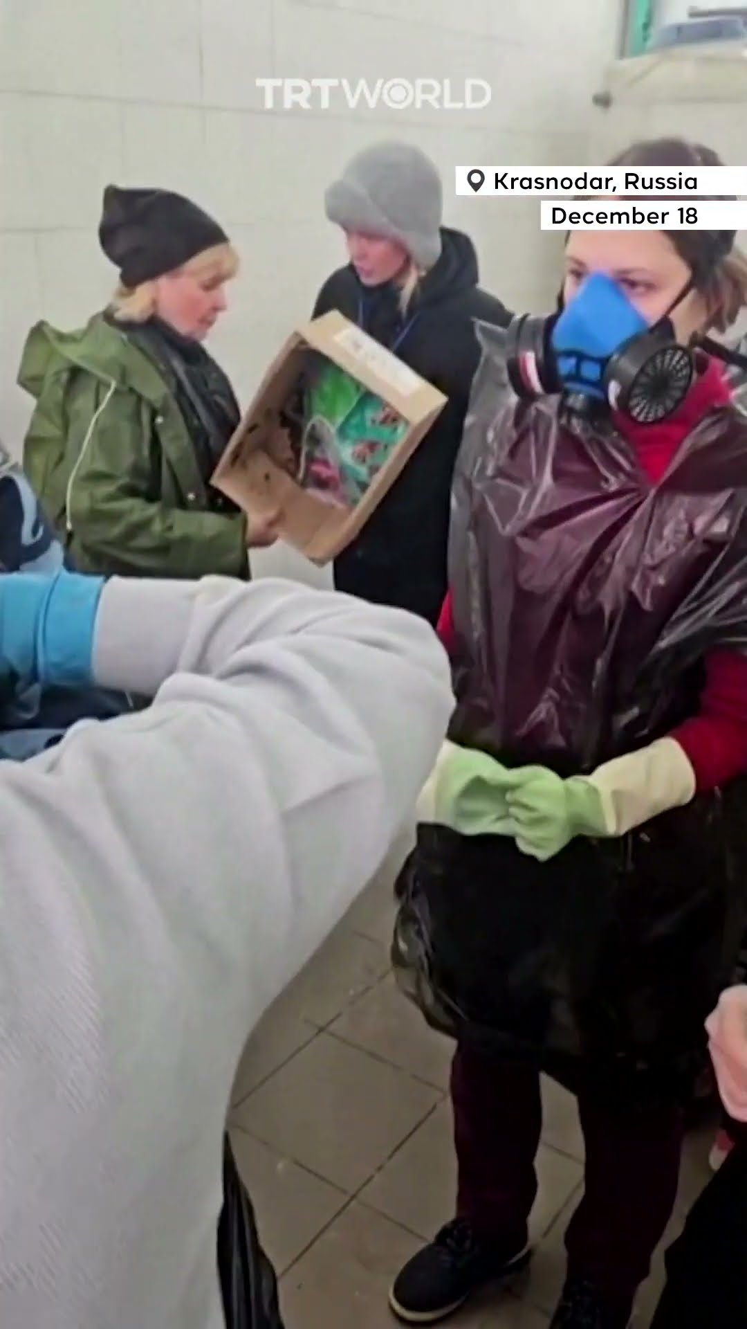 Russian volunteers rush to save wildlife after Black Sea oil spill