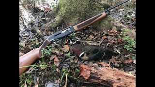 .410 TSS / Steel Duplex Load, Waterfowl Smasher!!! (36 gauge)