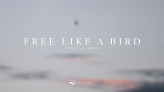 Anthony P. & Thunder - Free Like A Bird