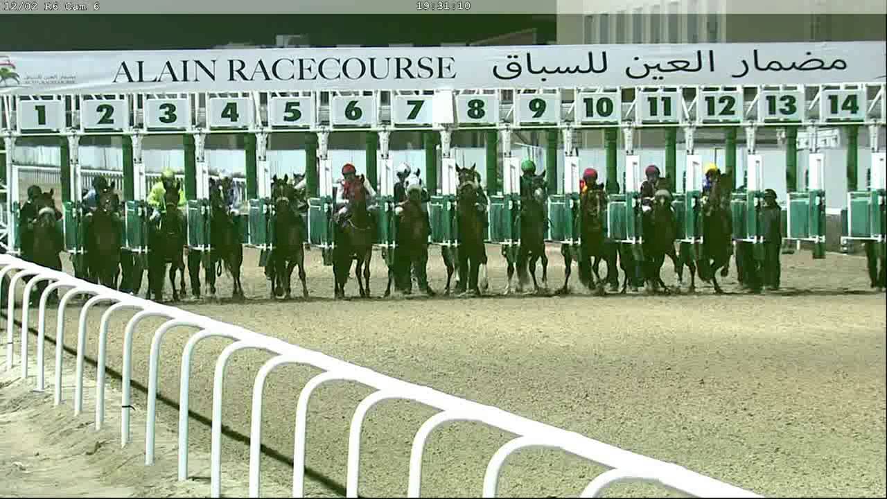 Al Muwaiji 1400 Mts, 12 Feb 2016