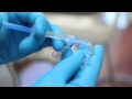 How to Get Pearly White Teeth : Dental Health