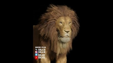Lion for Blender - rigged (downloadable) #lion