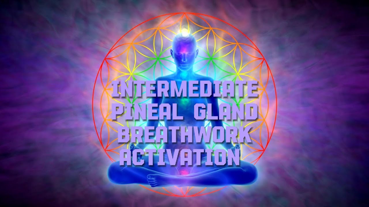 Intermedeate Pineal Gland 
