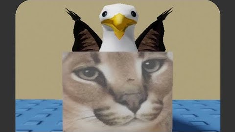 How To Find Seagull Floppa! Find The Floppa Morphs (576) #roblox #robloxfloppa