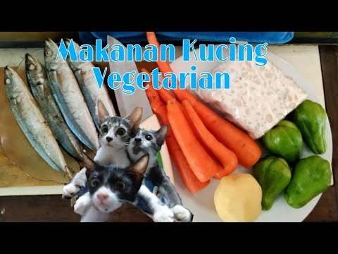 Video: Mengapa Kucing Makan Buah-buahan Dan Sayur-sayuran?