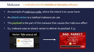Types of Malware Wealth