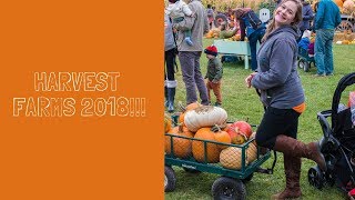 PUMPKIN PATCH/ HARVEST FARMS 2018/ WELLINGTON COLORADO