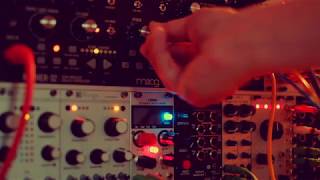 Famous Eurorack Modular Koto Experiment Profile